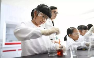 实验作文实验作文优秀8篇