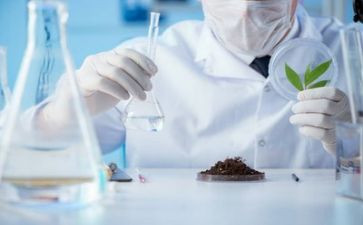 实验作文范文5篇