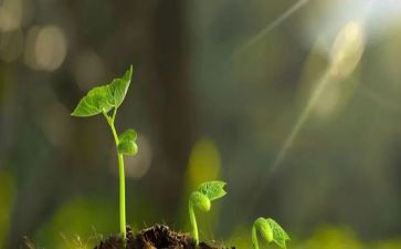 《守护孩子的心理健康》心得体会5篇