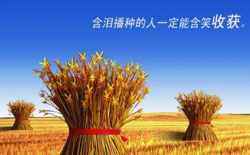 实习收获的心得体会8篇