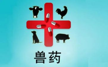 兽药店工作总结5篇