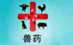 兽药店工作总结5篇