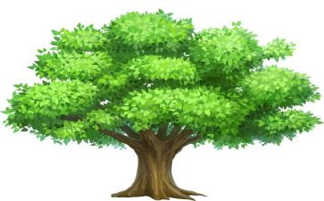 植树节的演讲稿优质7篇
