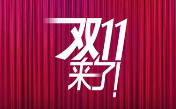 双11调查报告心得体会模板6篇