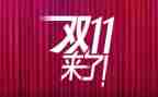 双11调查报告心得体会模板6篇