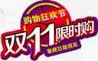 双11客服工作总结最新5篇