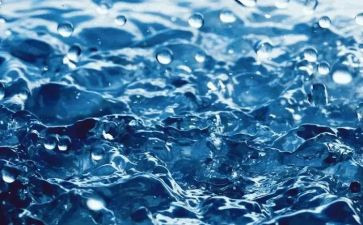 水公园心得体会7篇