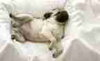 睡眠日活动总结6篇