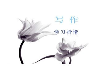 借物抒情作文600字8篇