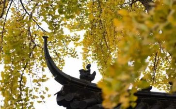 寺管年初工作计划优质5篇