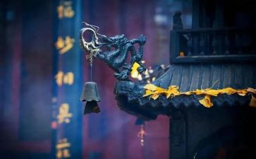 寺管干部参加培训心得体会7篇