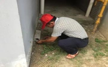 除四害工作总结8篇