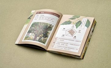 教师四史心得体会8篇