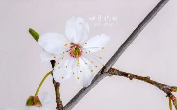 青协四月总结优秀7篇