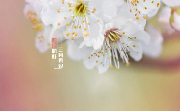 幼儿园四月工作计划7篇