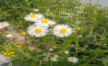 改写乡村四月作文5篇