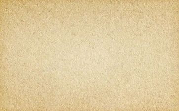 作文素材满分作文优质6篇