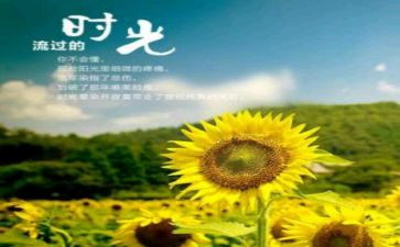 《成长的岁月》读后感6篇