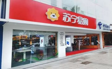 苏宁年度工作总结5篇