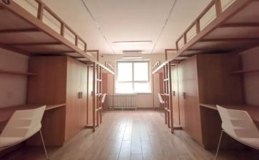 女宿舍工作总结精选5篇
