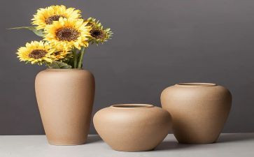 陶罐铁罐的教案精选8篇