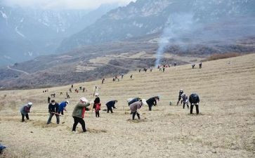 2023特岗教师培训心得体会通用8篇