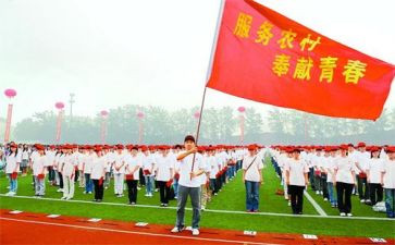 特岗个人总结优质8篇
