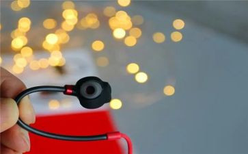 聆听鸟的声音作文5篇