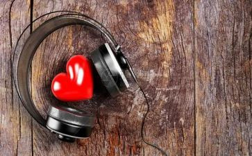 聆听鸟的声音作文推荐6篇