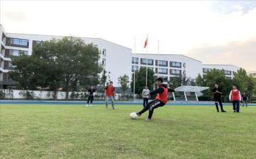 2023体卫处工作计划7篇