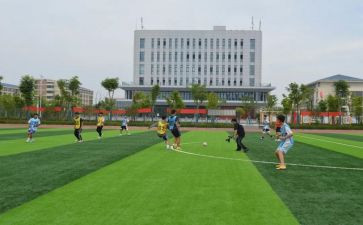 2023体卫处工作计划精选6篇