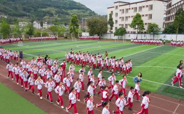 策划体育活动方案8篇