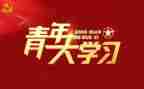 团青年工作计划通用5篇