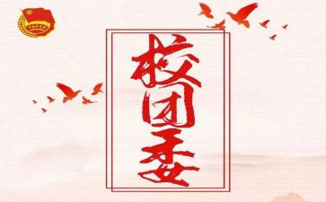 县团委工作计划模板7篇