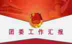 分团委工作总结报告8篇