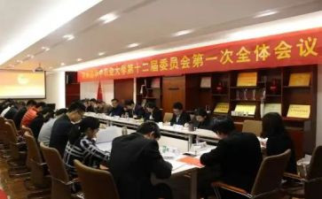 团委会工作总结范文8篇