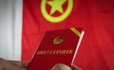 学习了团章的心得体会5篇