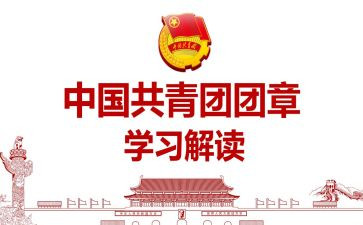 团章的学习心得体会8篇