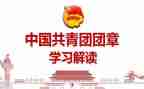 团章的学习心得体会8篇