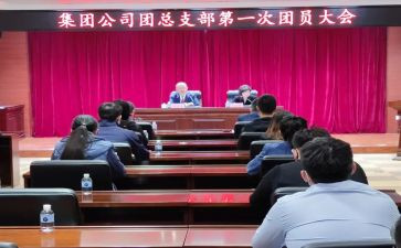 团总支工作总结通用5篇