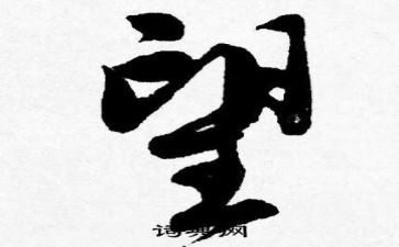 工作总结及展望范文5篇