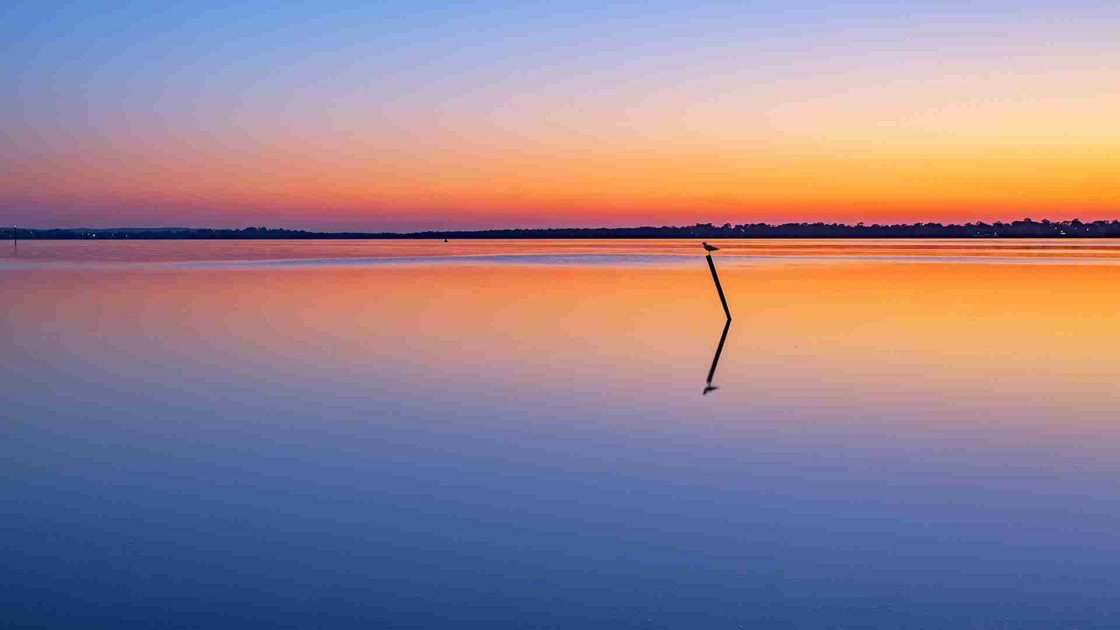 难以忘怀的事作文500字参考7篇