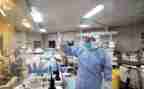 学校卫生室2024年度工作总结5篇