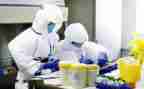2024学校卫生室工作计划参考7篇
