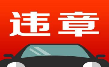 交通违章心得体会5篇