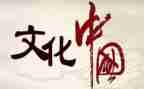 汉文化的心得体会500字5篇
