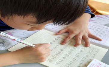 我想变成只猫作文优质8篇