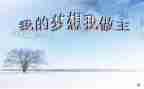 演讲稿我的青春我做主400字5篇