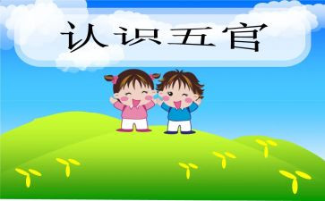 五官幼儿教案5篇