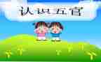 五官幼儿教案5篇